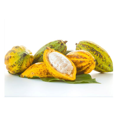 Kakao-Früchte – Exotischer Genuss für Schokoladenliebhaber Exoten Obstwelt 