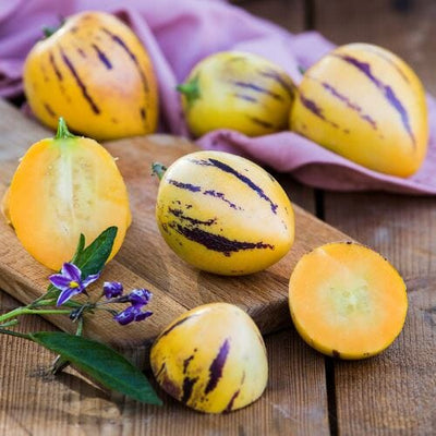 PEPINO MELONE